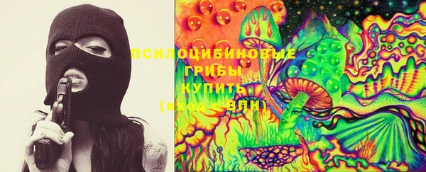 Альфа ПВП Пестово