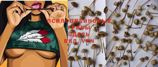 первитин Пересвет