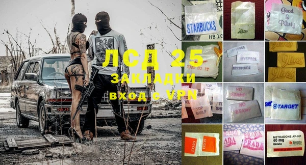 сатива Осташков